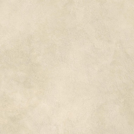 Boost Expression Camel 60x60